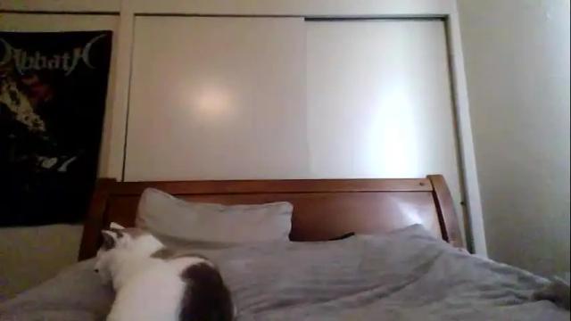 Image 2 of petitedoll30 Stream on Chaturbate on 23 months ago