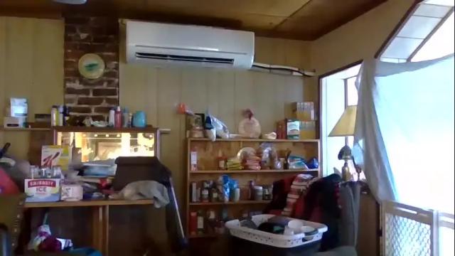 Image 10 of petmykitty Stream on Chaturbate on 3 months ago