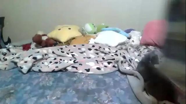 Image 12 of petmykitty Stream on Chaturbate on 2 months ago