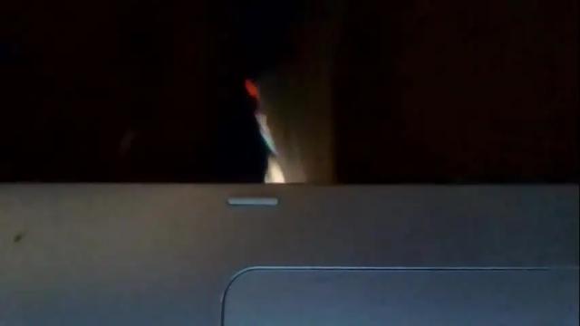 Image 8 of petmykitty Stream on Chaturbate on 2 months ago