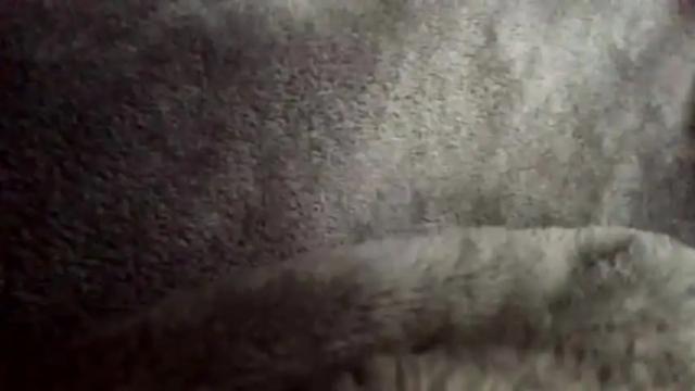 Image 11 of phaedra27 Stream on Chaturbate on 12 months ago