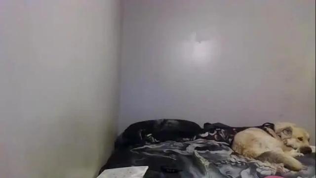 Image 8 of phatassblond Stream on Chaturbate on 13 months ago