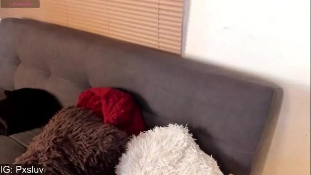 Image 11 of piixara Stream on Chaturbate on 2 months ago