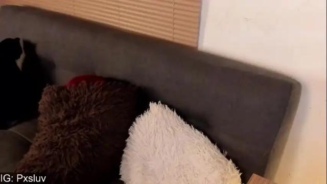 Image 6 of piixara Stream on Chaturbate on 2 months ago