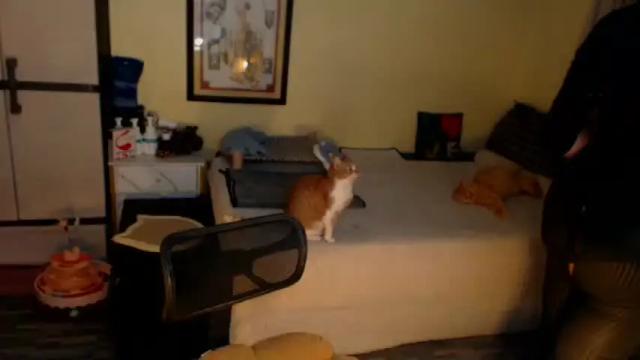 Image 11 of pinaysluttyaira Stream on Chaturbate on 1 month ago