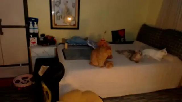 Thumbnail 3, pinaysluttyaira's Stream at Chaturbate, 7 days ago