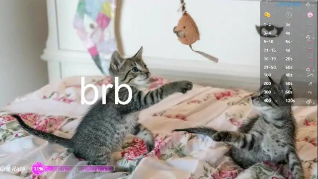 Image 2 of pink_girl0n Stream on Chaturbate on 16 days ago