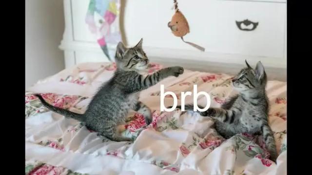 Thumbnail 3, pink_girl0n's Stream at Chaturbate, 1 month ago