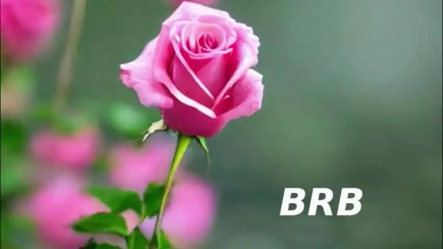 Image 11 of pink_rosee_ Stream on Chaturbate on 26 days ago