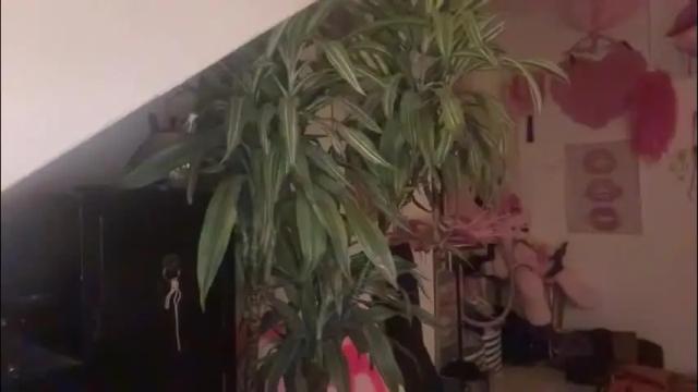 Thumbnail 1, pinkfag's Stream at Chaturbate, 4 hours ago