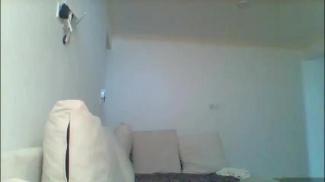 Image 11 of pixie_roman Stream on Chaturbate on 2 months ago