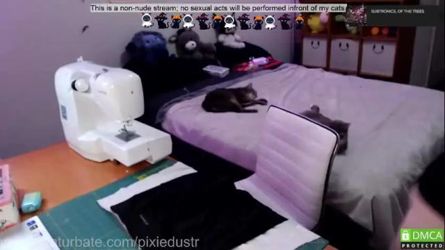 Image 4 of pixiedustr Stream on Chaturbate on 1 month ago