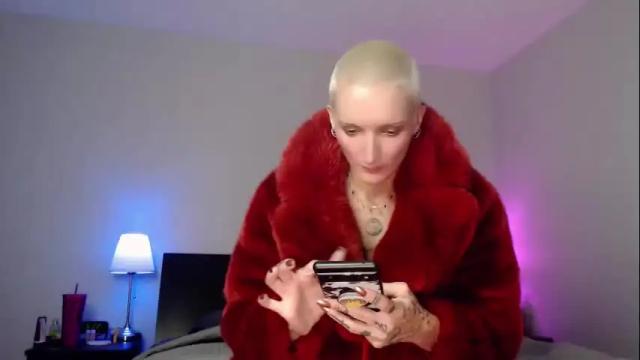 Image 7 of platinumxhaze Stream on Chaturbate on 18 months ago
