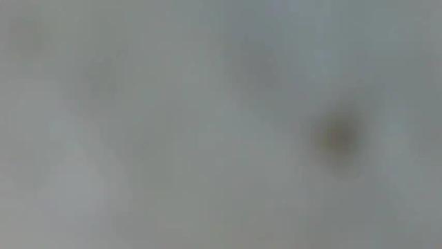 Image 10 of playboytit Stream on Chaturbate on 16 months ago