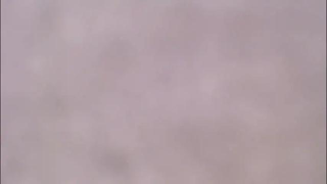 Image 8 of playboytit Stream on Chaturbate on 1 month ago