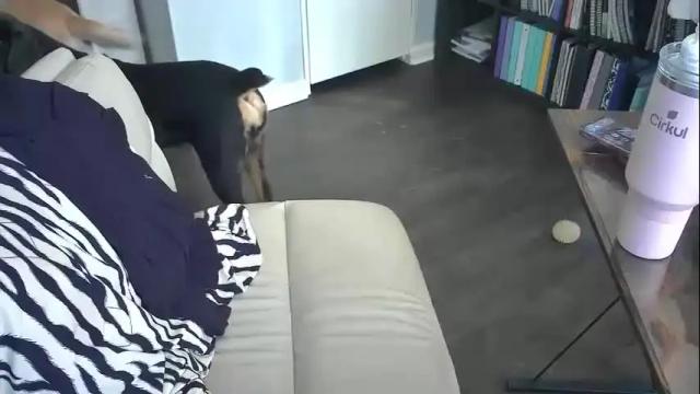 Image 12 of playwithcaity Stream on Chaturbate on 8 months ago