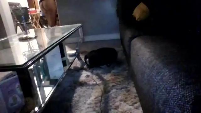 Image 4 of pleaseze Stream on Chaturbate on 1 month ago