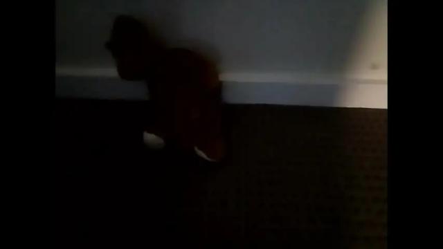 Image 10 of pleasuremypussyyy Stream on Chaturbate on 2 months ago