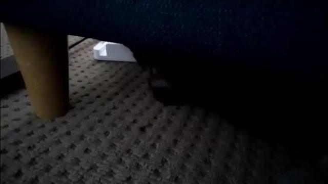 Thumbnail 1, pleasuremypussyyy's Stream at Chaturbate, 1 month ago