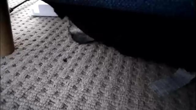 Thumbnail 2, pleasuremypussyyy's Stream at Chaturbate, 1 month ago