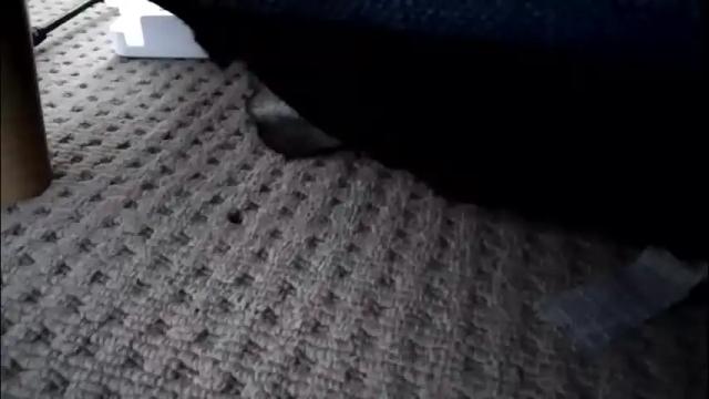 Image 6 of pleasuremypussyyy Stream on Chaturbate on 1 month ago