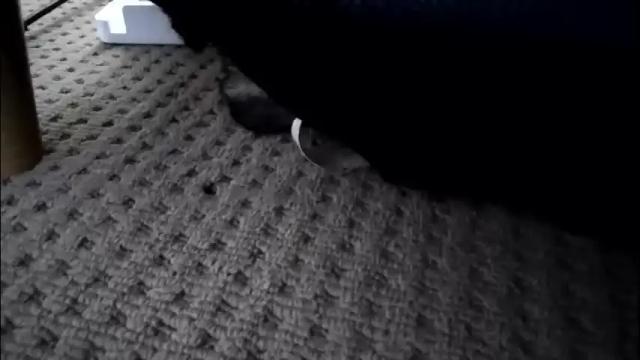 Image 7 of pleasuremypussyyy Stream on Chaturbate on 1 month ago