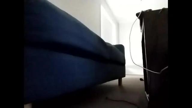 Image 8 of pleasuremypussyyy Stream on Chaturbate on 1 month ago