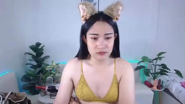 Image 4 of ploysaithailand Stream on Chaturbate on 13 months ago