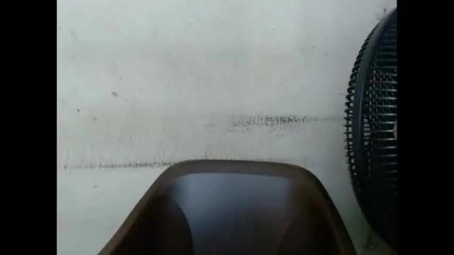 Image 11 of plumnjuicyx Stream on Chaturbate on 9 days ago