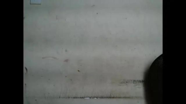 Image 4 of plumnjuicyx Stream on Chaturbate on 2 months ago