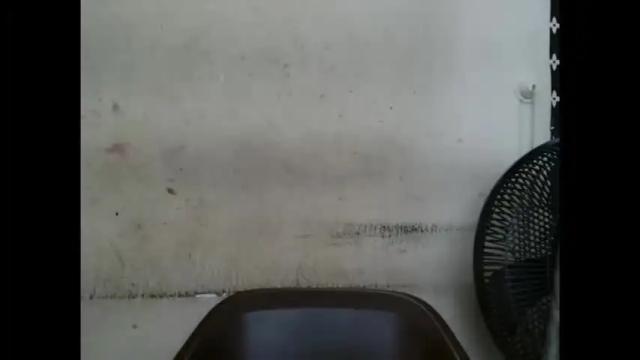 Image 10 of plumnjuicyx Stream on Chaturbate on 1 month ago
