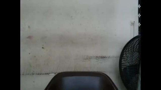 Image 12 of plumnjuicyx Stream on Chaturbate on 1 month ago