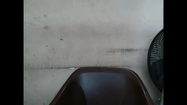 Image 3 of plumnjuicyx Stream on Chaturbate on 1 month ago