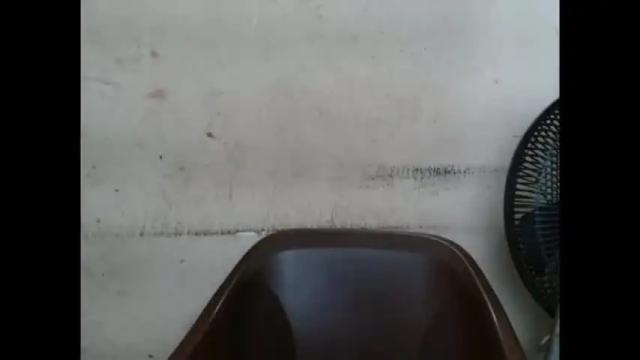 Image 4 of plumnjuicyx Stream on Chaturbate on 1 month ago