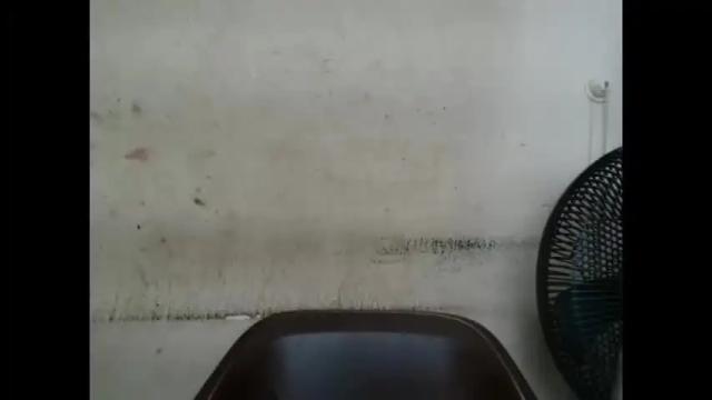 Thumbnail 3, plumnjuicyx's Stream at Chaturbate, 1 month ago
