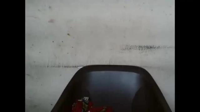 Image 7 of plumnjuicyx Stream on Chaturbate on 1 month ago