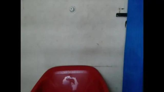 Thumbnail 1, plumnjuicyx's Stream at Chaturbate, 28 days ago