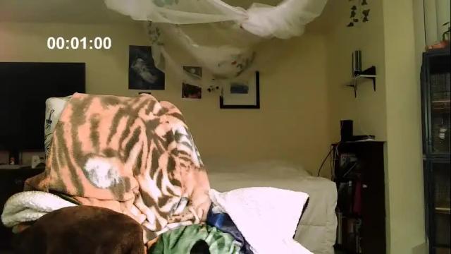 Thumbnail 2, polinalove_streamer's Stream at Chaturbate, 5 days ago