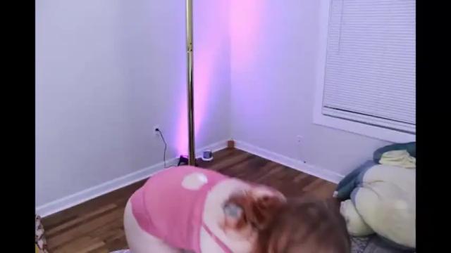 Image 2 of pollypocketdancer Stream on Chaturbate on 15 months ago