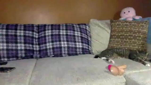 Thumbnail 2, poloking_92's Stream at Chaturbate, 14 months ago