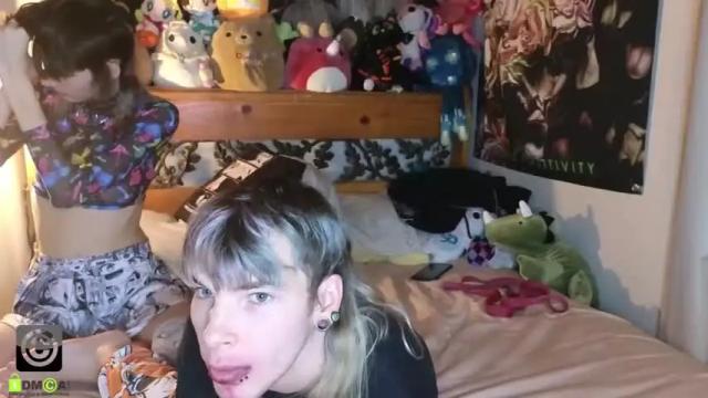 Image 3 of polyhouseofgays Stream on Chaturbate on 20 months ago