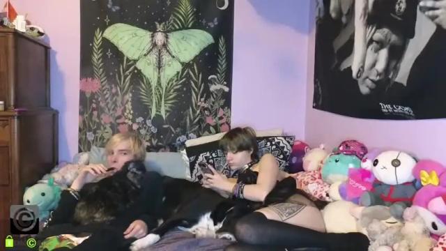 Image 7 of polyhouseofgays Stream on Chaturbate on 13 months ago