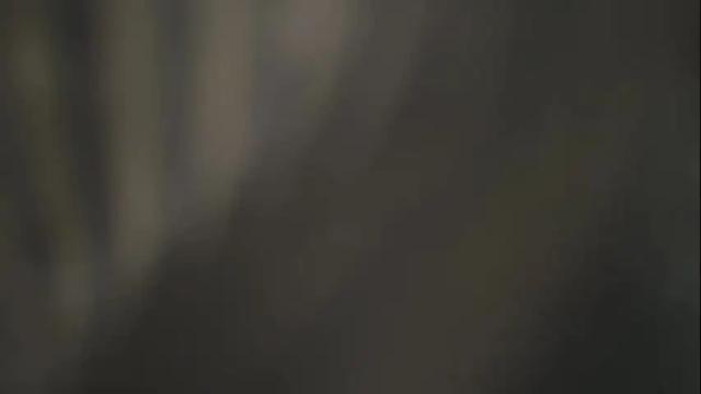 Image 7 of pondererwander Stream on Chaturbate on 29 days ago