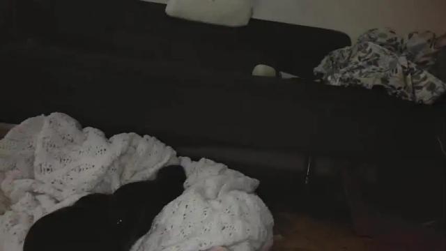 Image 10 of poppergirl69 Stream on Chaturbate on 14 months ago