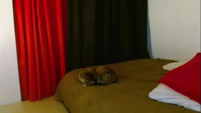 Image 10 of porcelainlux Stream on Chaturbate on 5 months ago