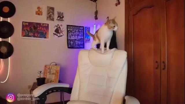 Thumbnail 1, posigore's Stream at Chaturbate, 2 months ago