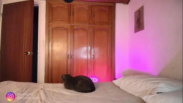 Thumbnail 1, posigore's Stream at Chaturbate, 2 months ago