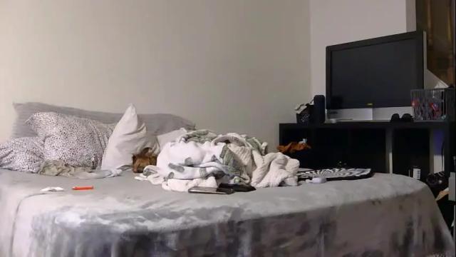 Thumbnail 2, pppawg's Stream at Chaturbate, 1 day ago