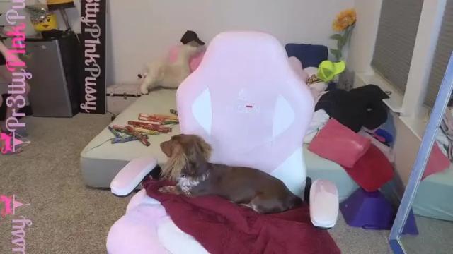 Thumbnail 1, pr3ttyp1nkpussy's Stream at Chaturbate, 2 months ago