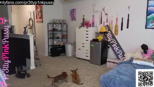 Thumbnail 1, pr3ttyp1nkpussy's Stream at Chaturbate, 3 months ago